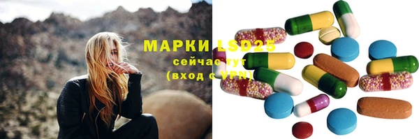 ГАЛЛЮЦИНОГЕННЫЕ ГРИБЫ Абаза