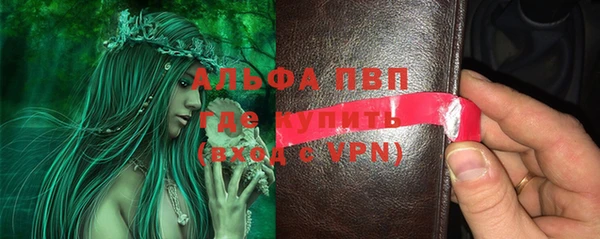 ГАЛЛЮЦИНОГЕННЫЕ ГРИБЫ Абаза