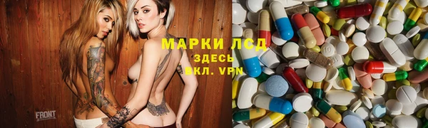 ГАЛЛЮЦИНОГЕННЫЕ ГРИБЫ Абаза