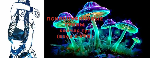 ГАЛЛЮЦИНОГЕННЫЕ ГРИБЫ Абаза
